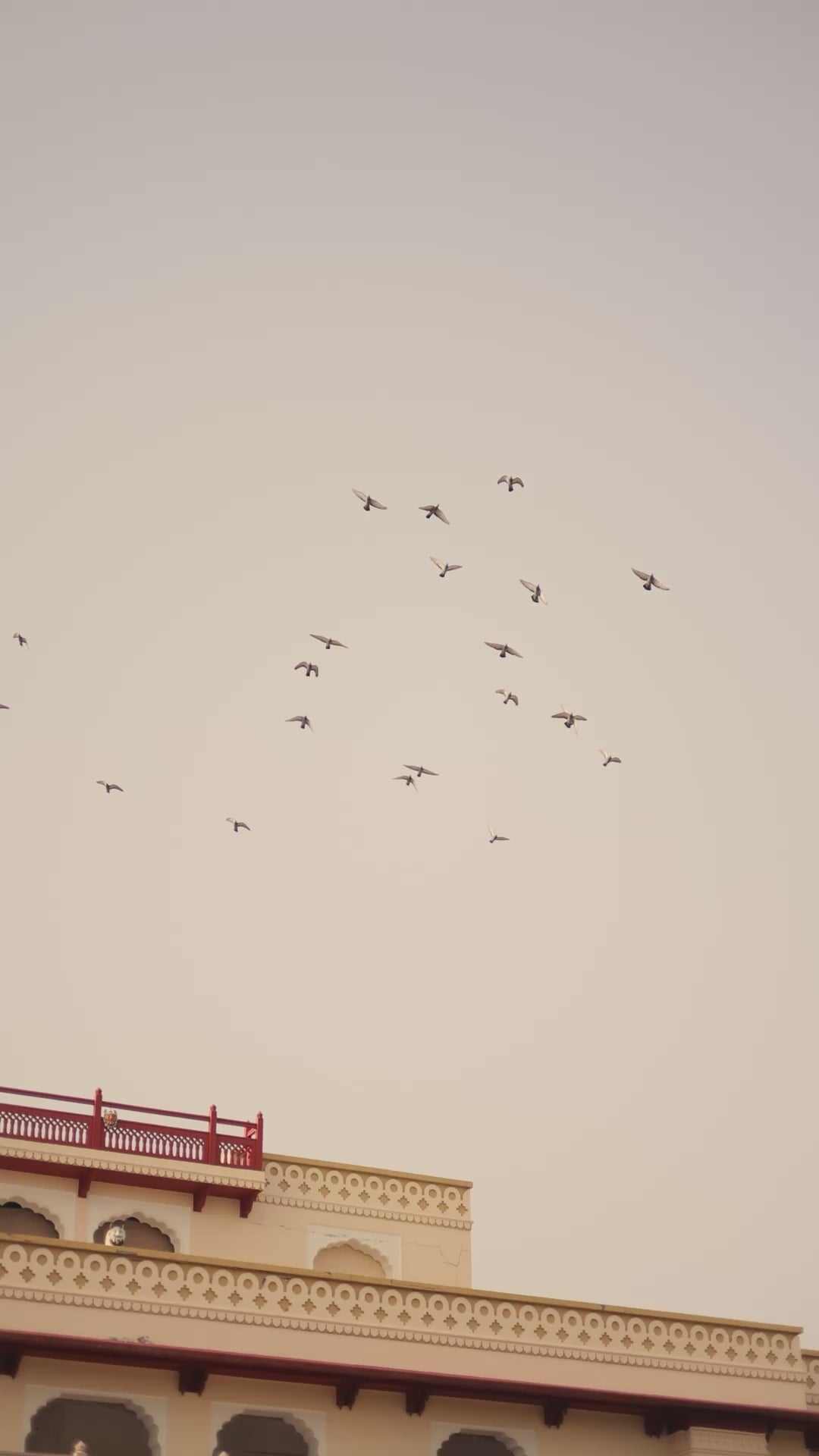 Elegant Gold Crush Lehenga Set with Zari & Sequins Embroidery